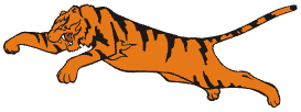 tigr